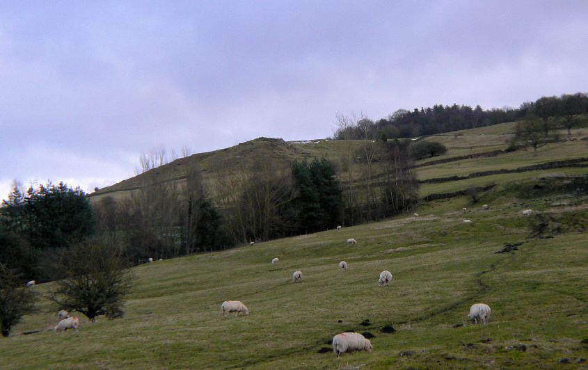 Moorside Moorside